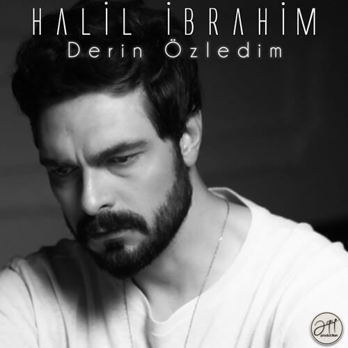 halil ibrahim ceyhan